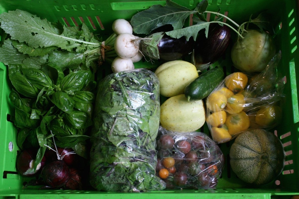 Our Suppliers - Vanguard Specialty Coffee Company