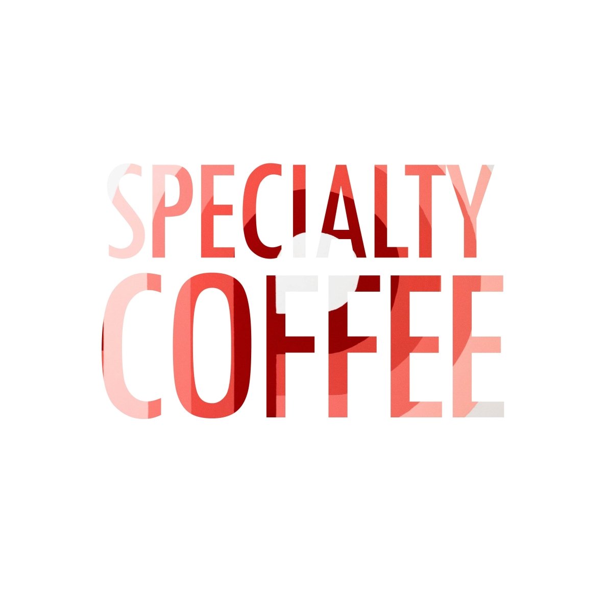 Coffee Vanguard Specialty Coffee Company