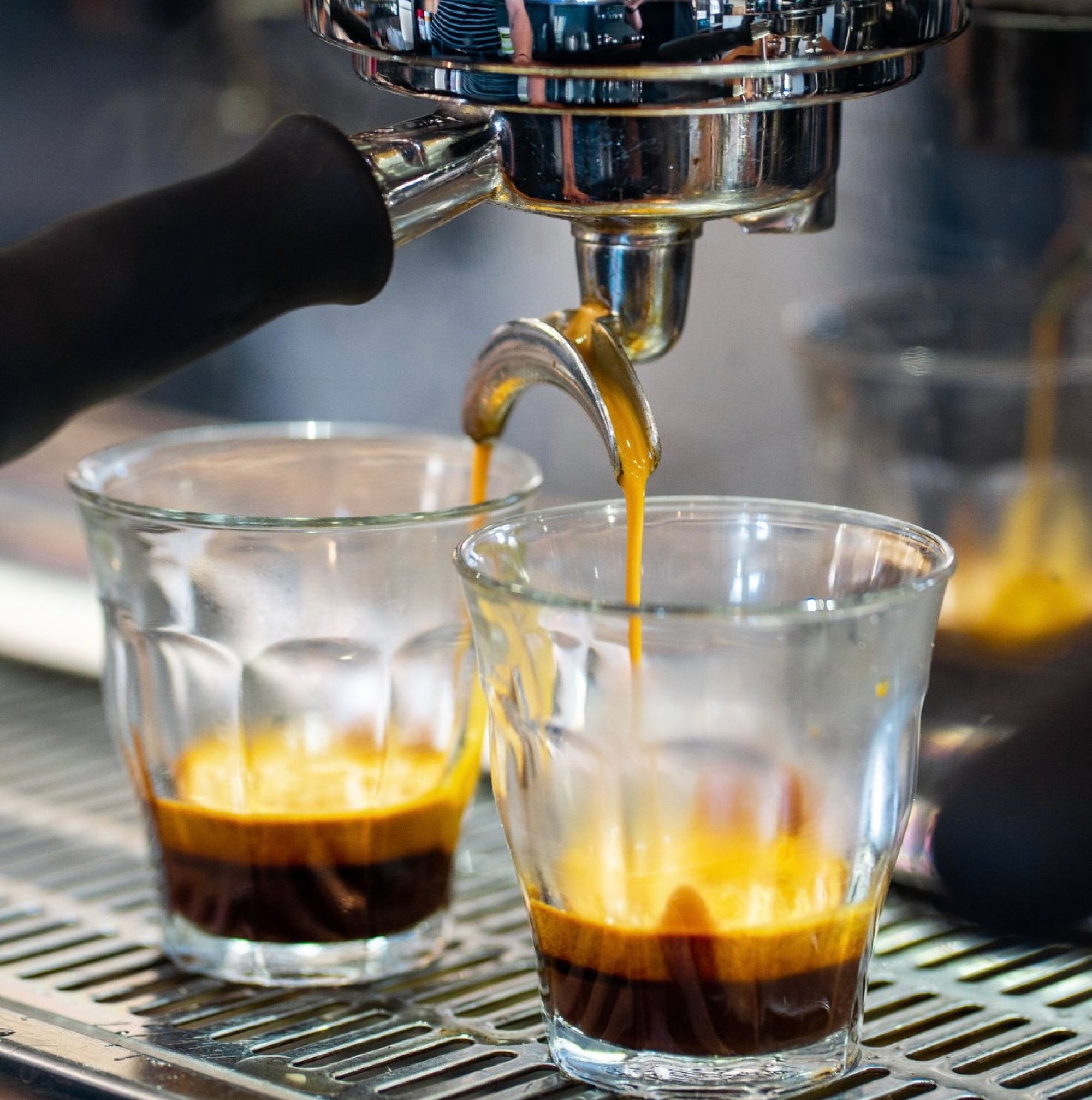 Alpha - Espresso Blend
