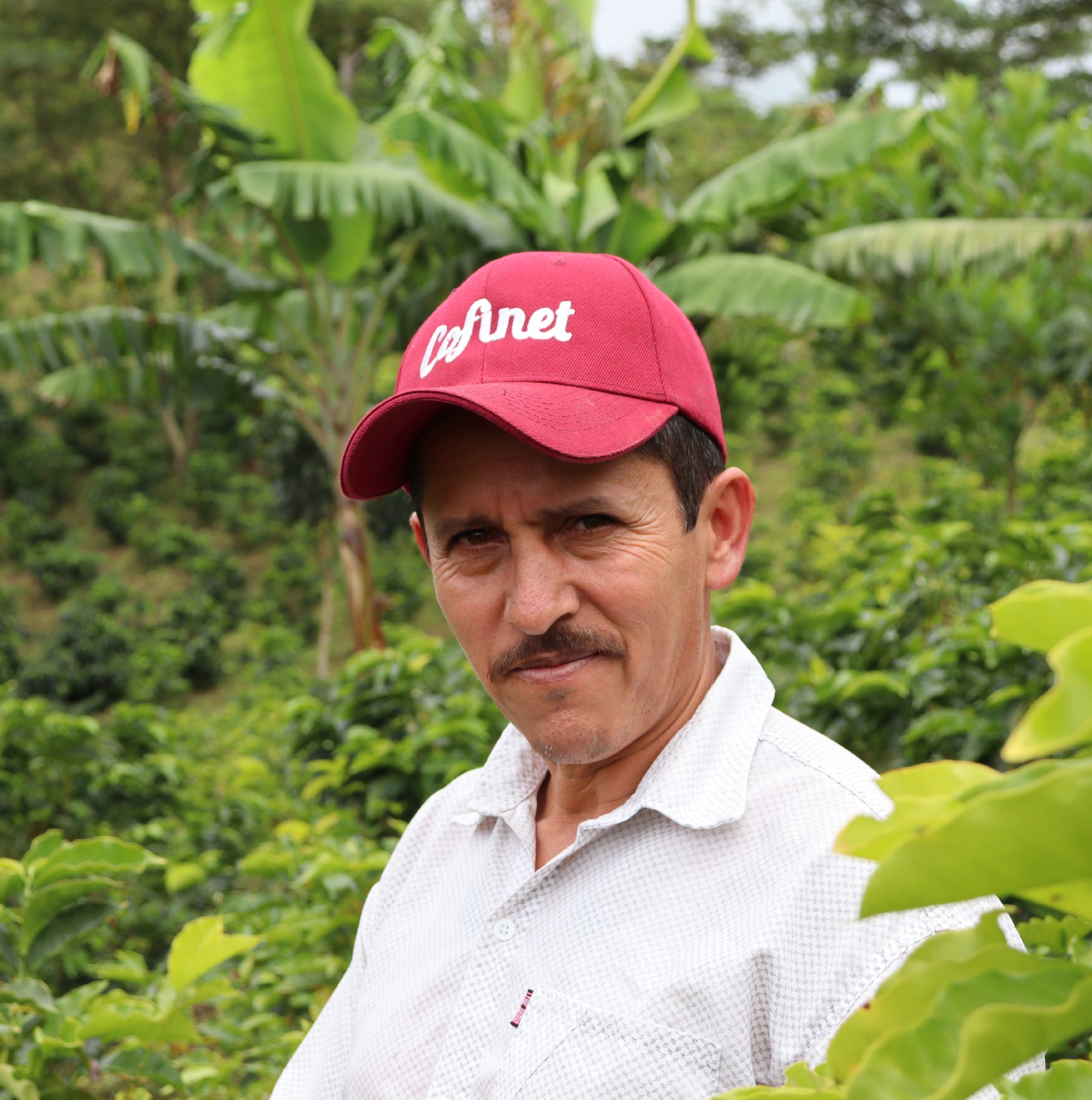 Colombia Luis Anibal Ombligon Washed - Filter Roast