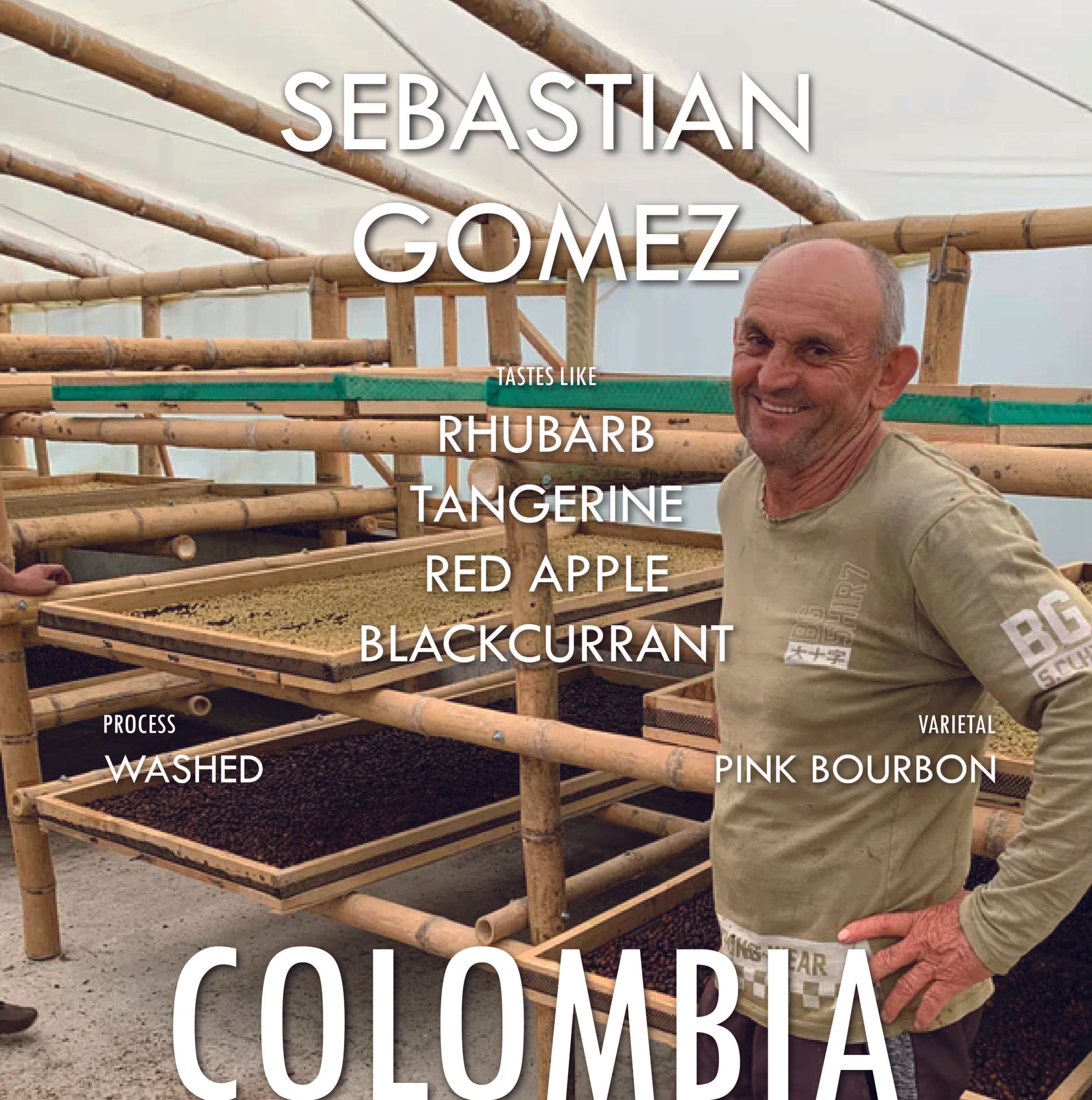 Colombia Sebastian Gomez Pink Bourbon Washed- Filter Roast