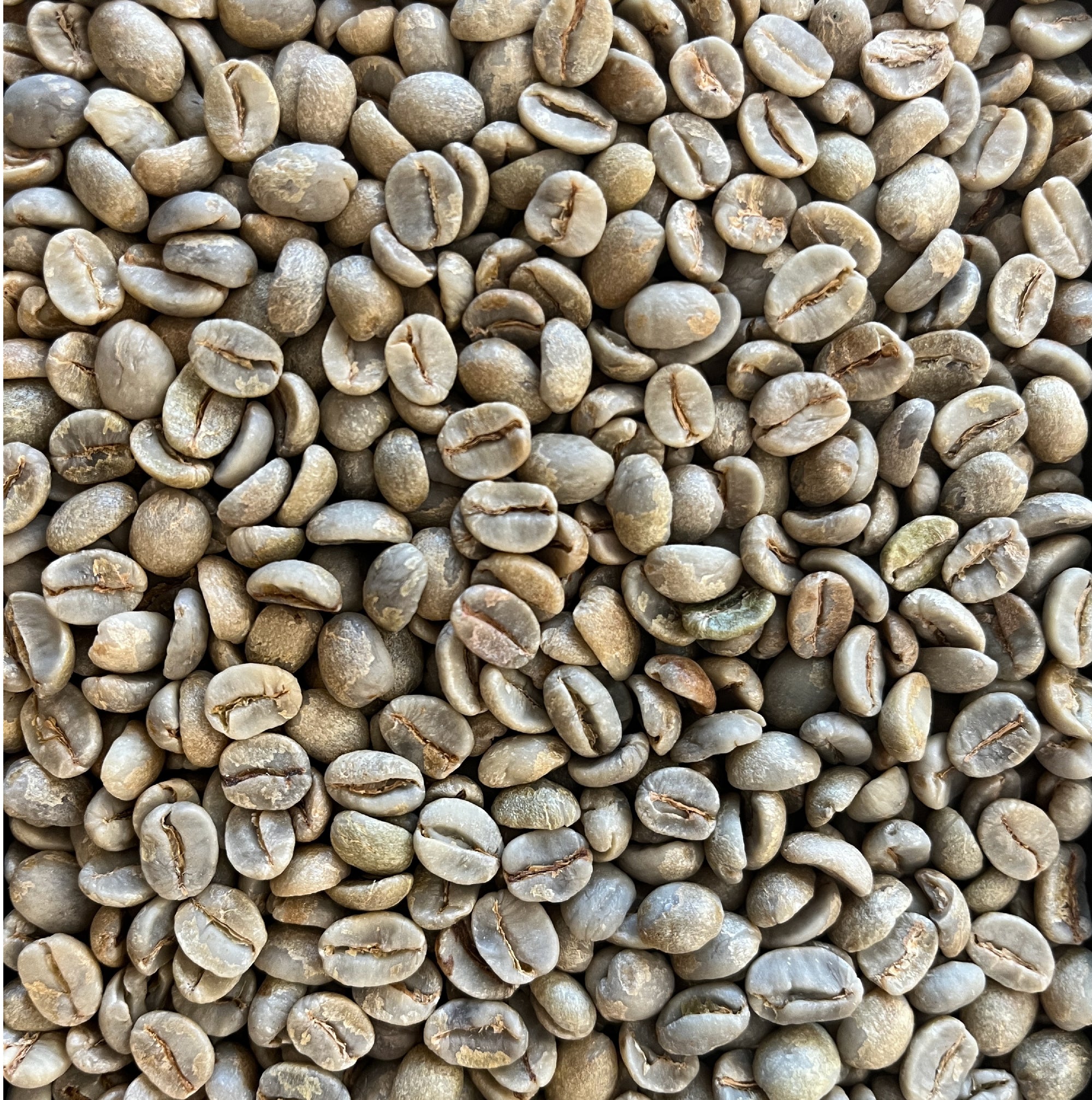 Green Coffee Beans - Brazil Araponga