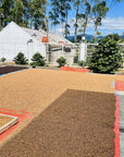 Indonesia Finca de Berman Mosto Washed
