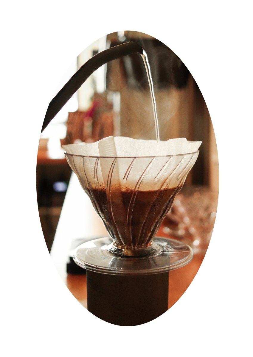 Filter Coffee Subscription - Vanguard Specialty Coffee Company - Subscription