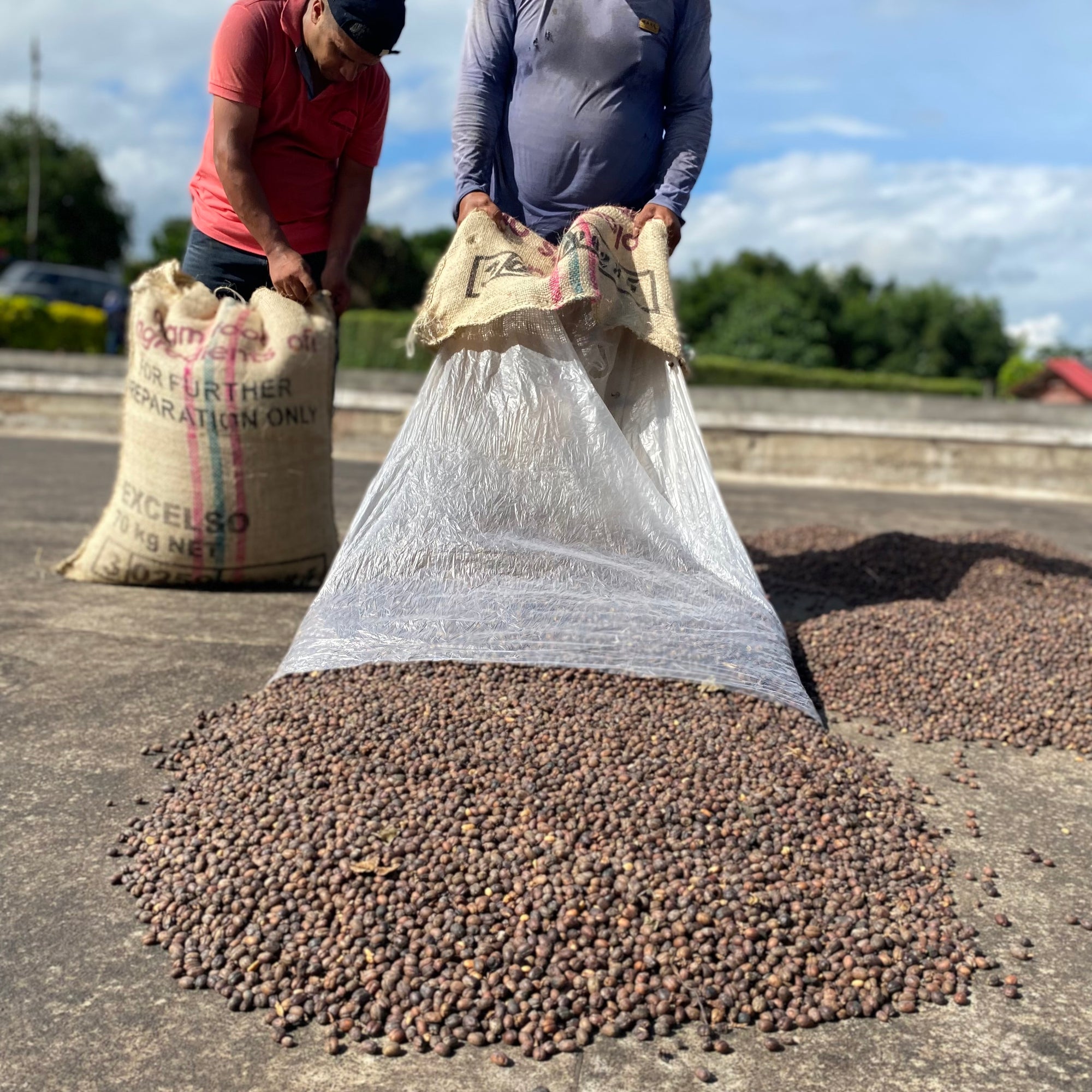Colombia Jairo Arcila Natural Caturra