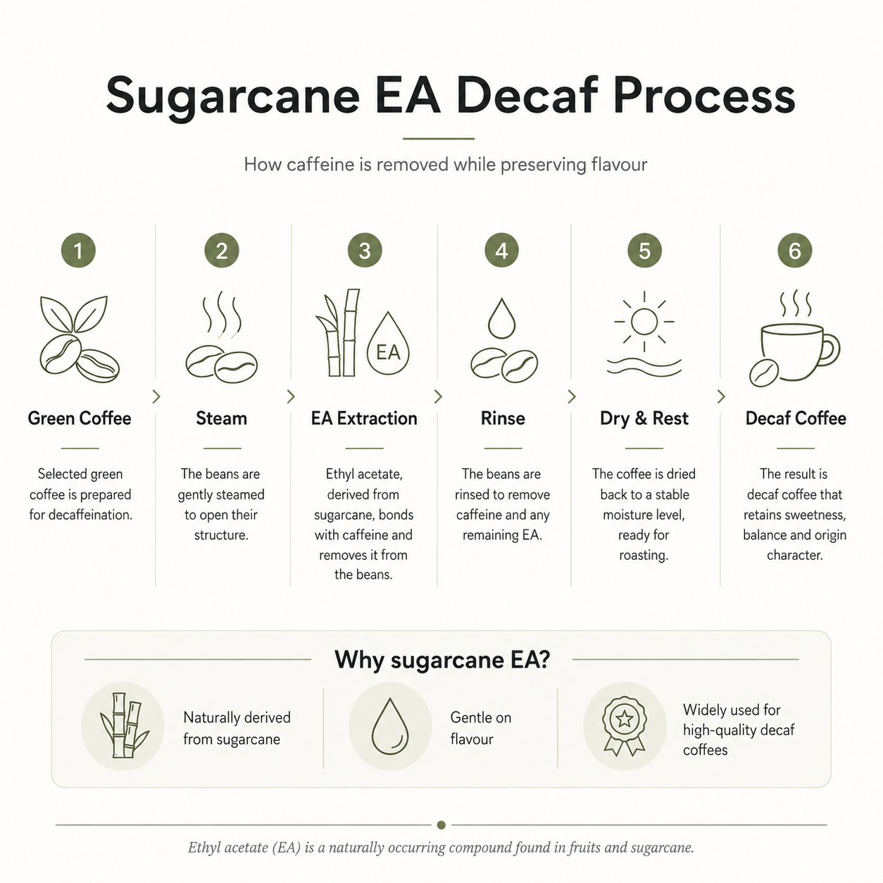 Colombia Popayan Reserve Decaf