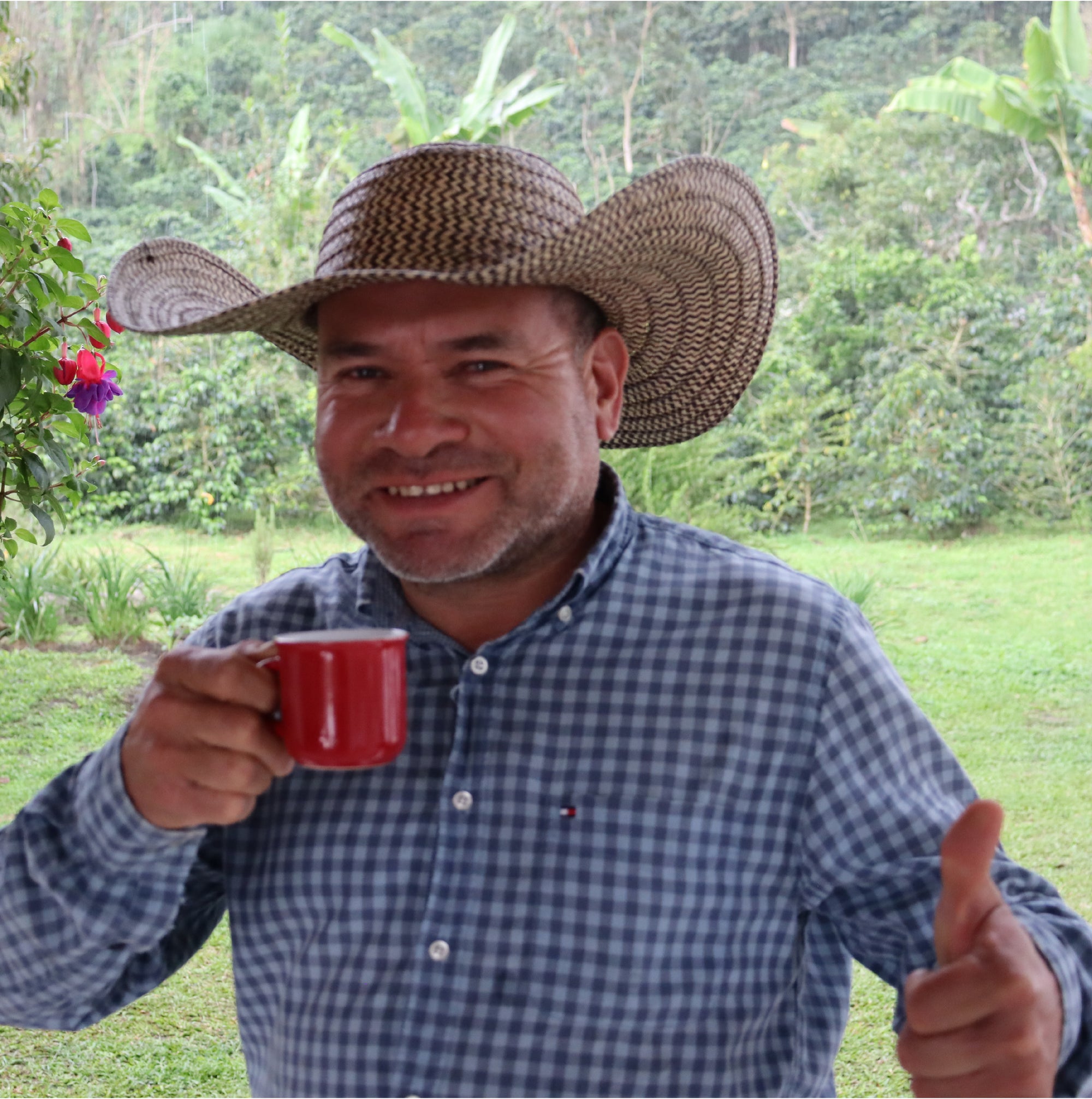 Colombia Diofanor Ruiz Java Washed - Filter Roast