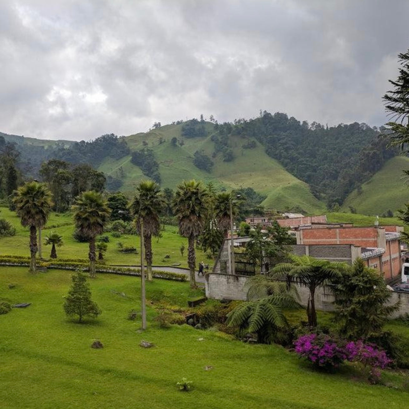 Colombia Popayan Reserve Decaf