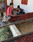 Colombia Jairo Arcila Tabi Natural