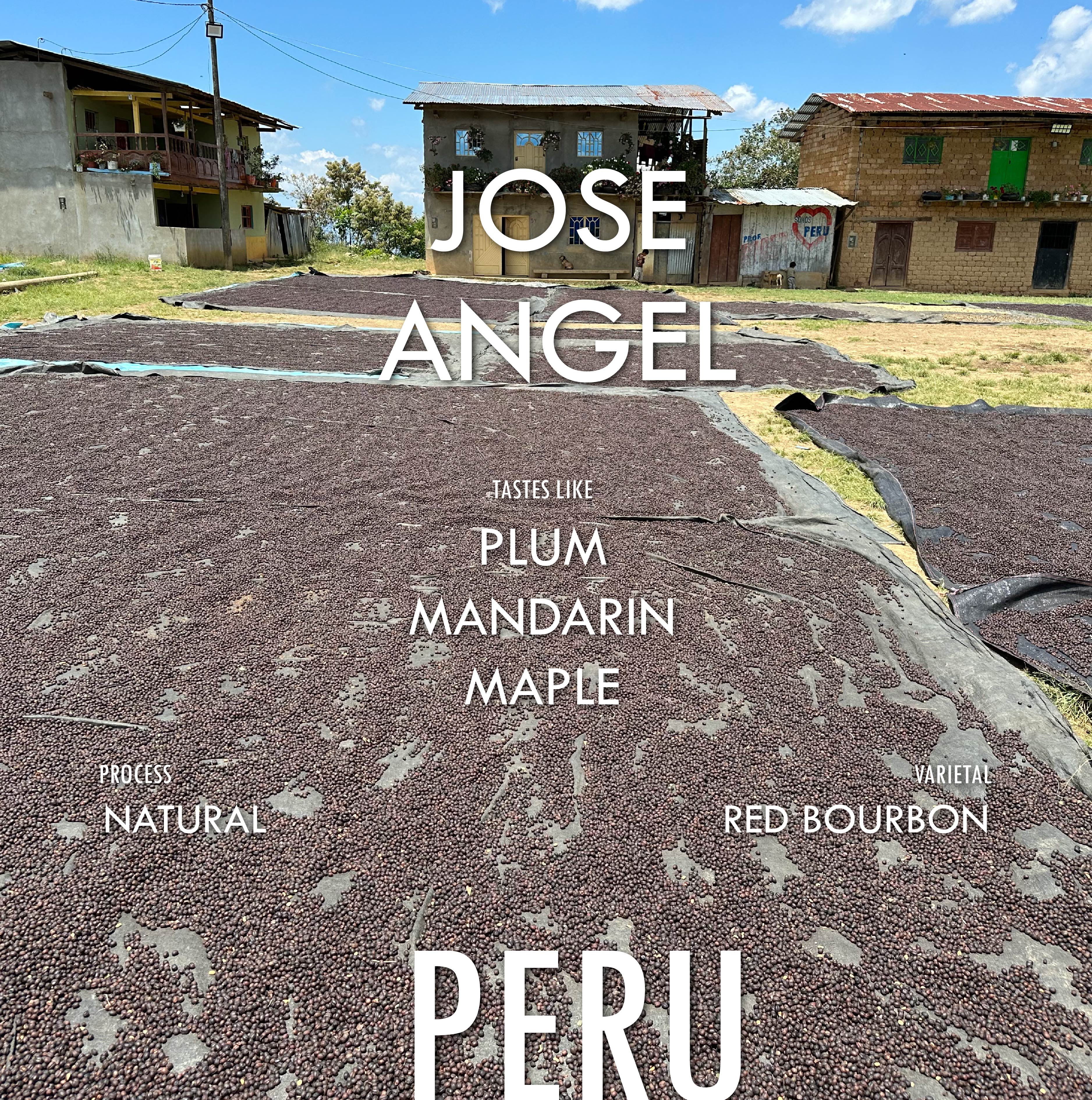 Peru Jose Angel Natural - Filter Roast