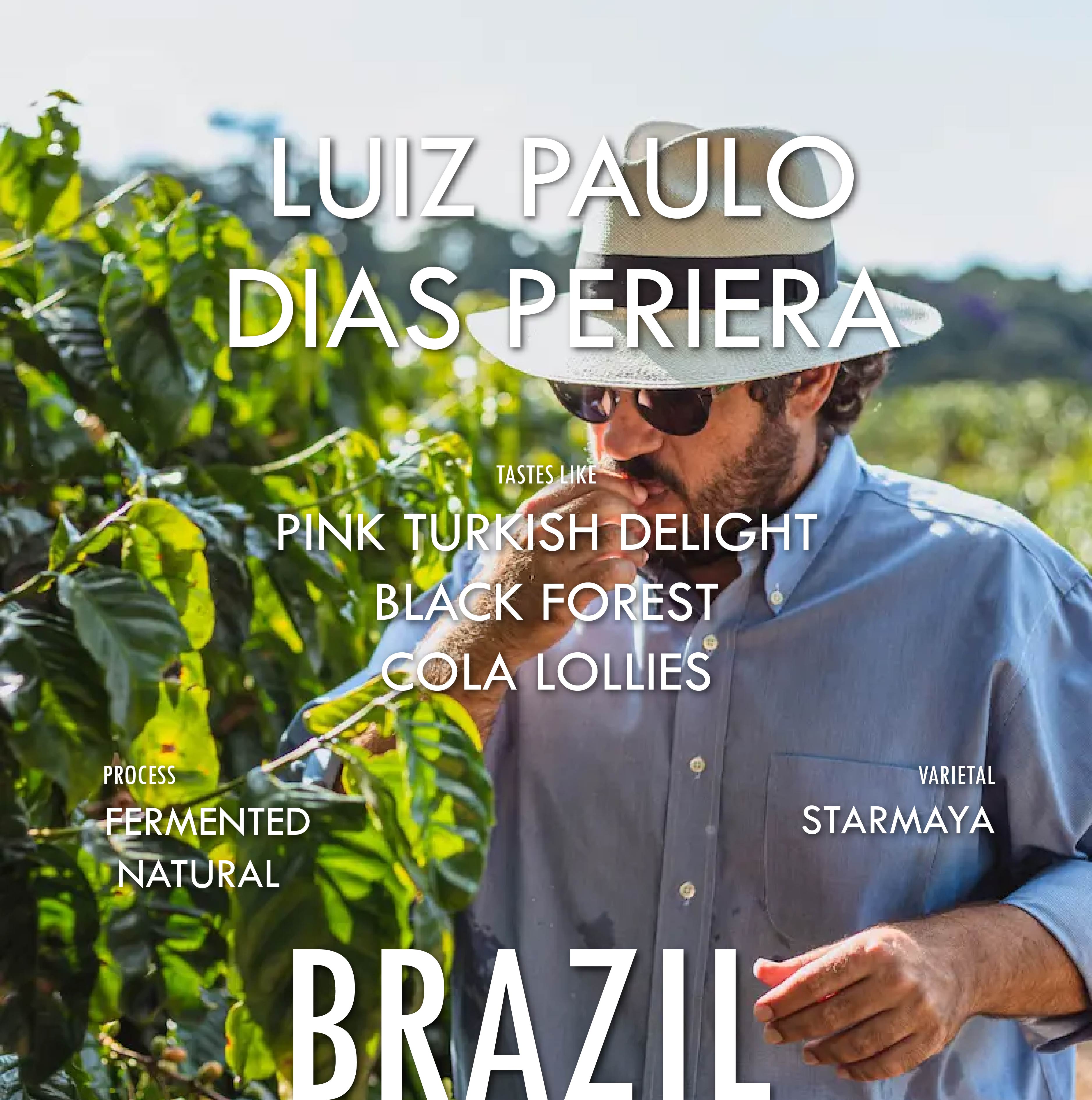 Brazil Luiz Paulo Starmaya Fermented Natural - Filter Roast