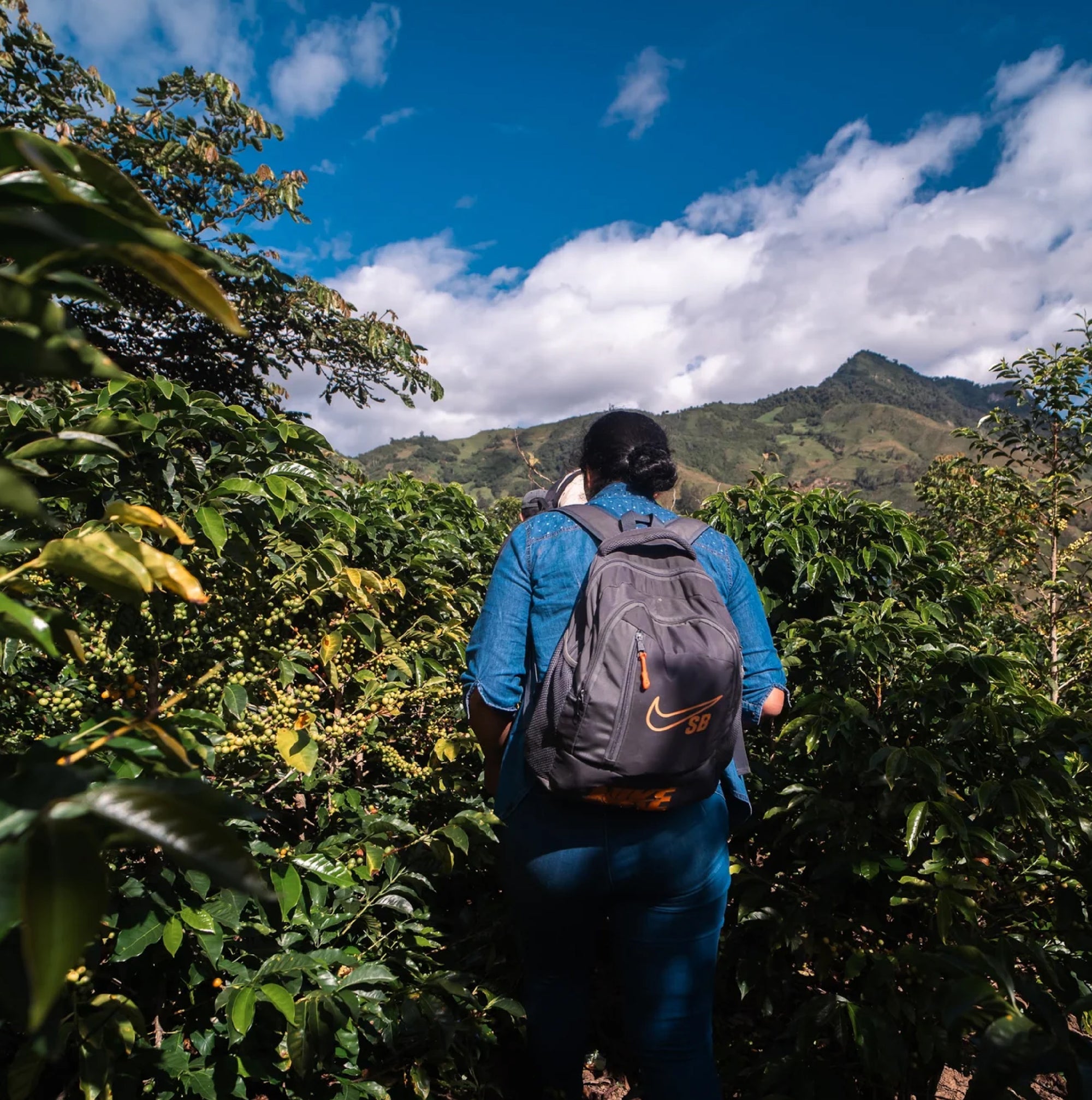 Peru Merly Leon - Yellow Caturra Washed