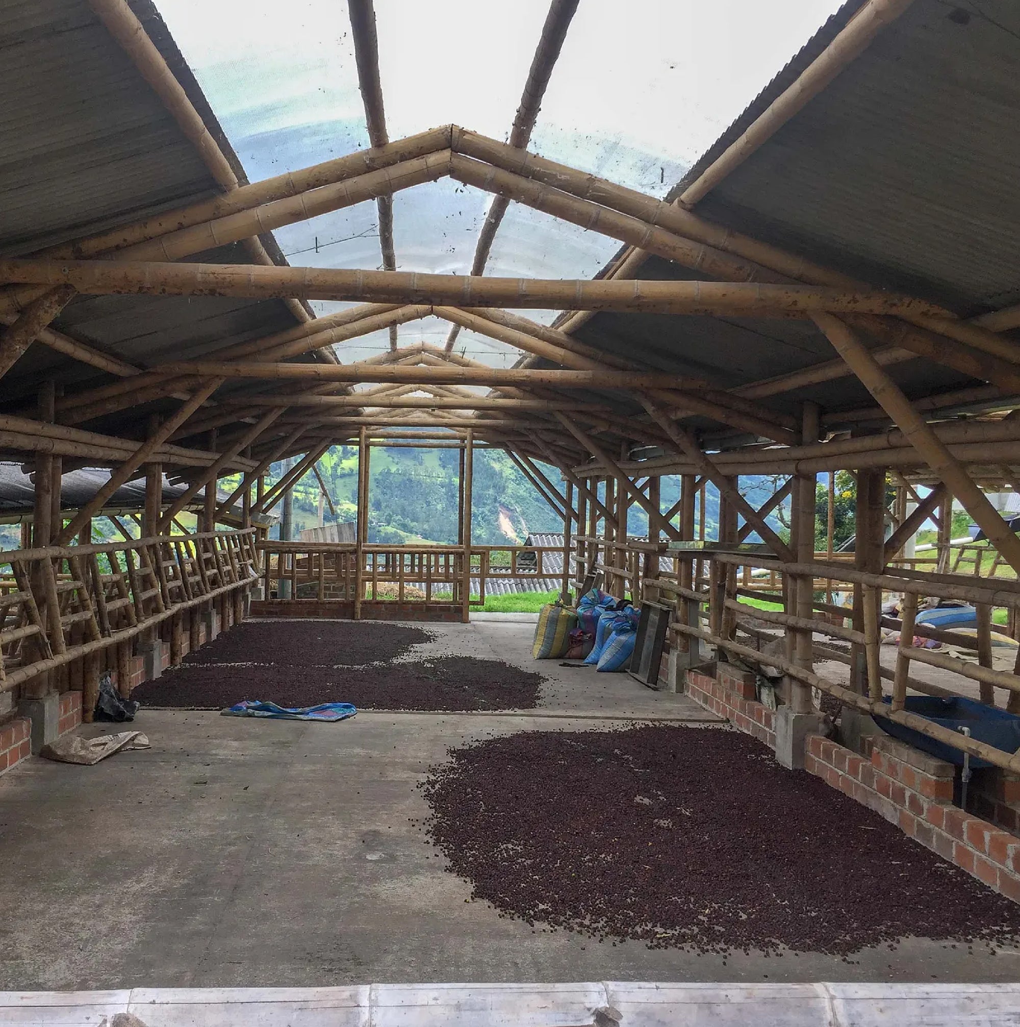 Colombia Pablo Guerrero Geisha Washed - LIMITED RELEASE