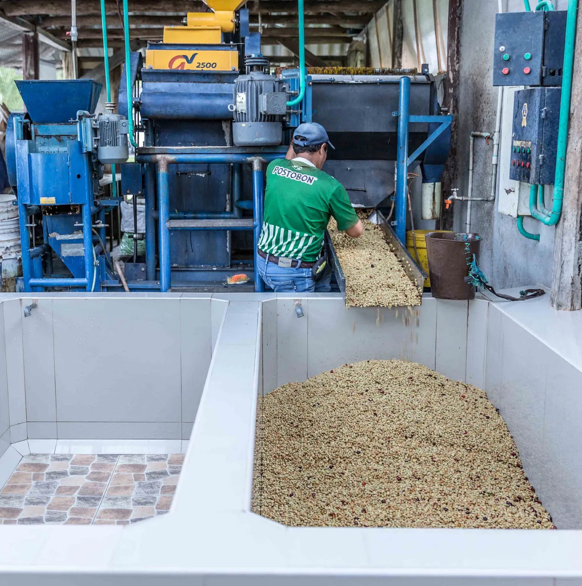 Colombia Pablo Guerrero Geisha Washed - LIMITED RELEASE