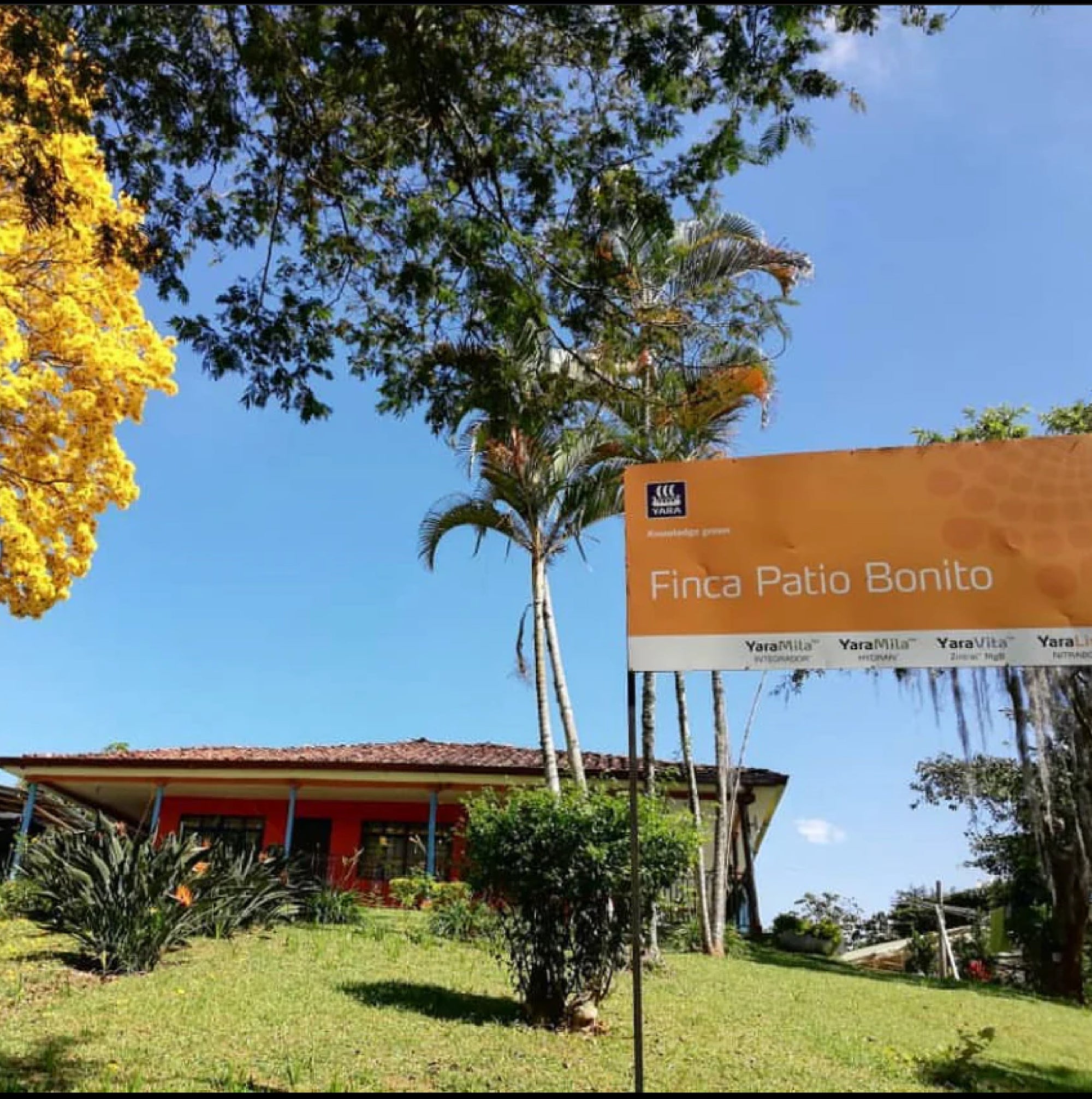 Aunty Paolas Ambrosia - Festive Filter Blend