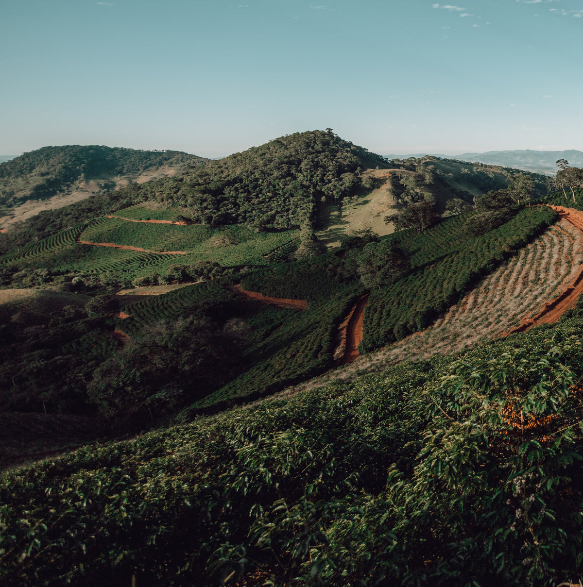 Brazil Rancho Sao Benedito