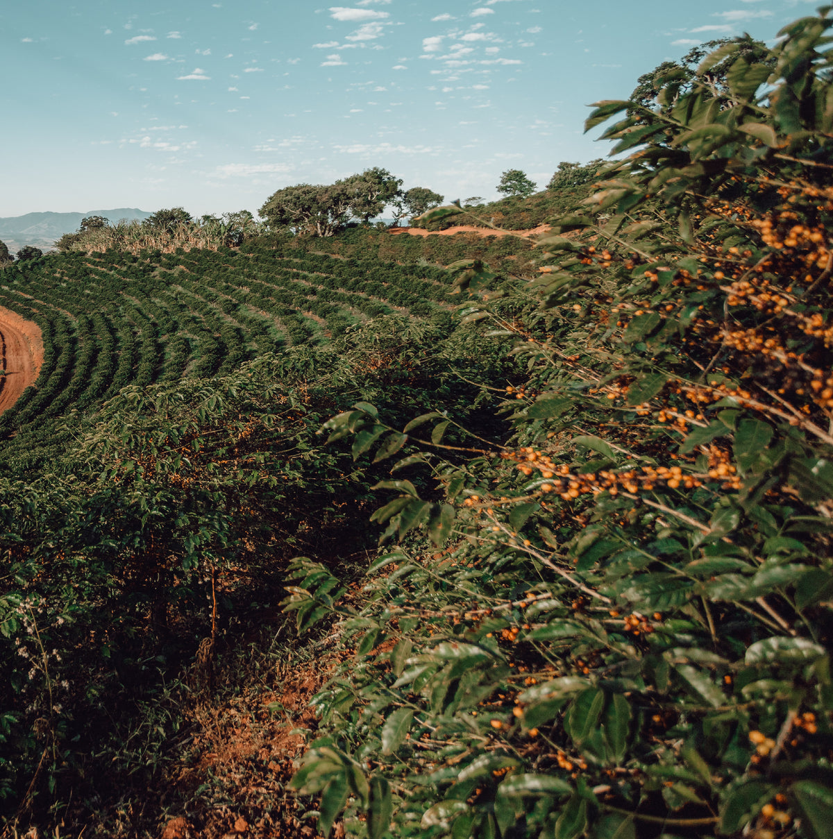 Brazil Rancho Sao Benedito