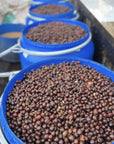 Indonesia Finca de Berman Mosto Washed