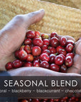 Seasonal Espresso Blend