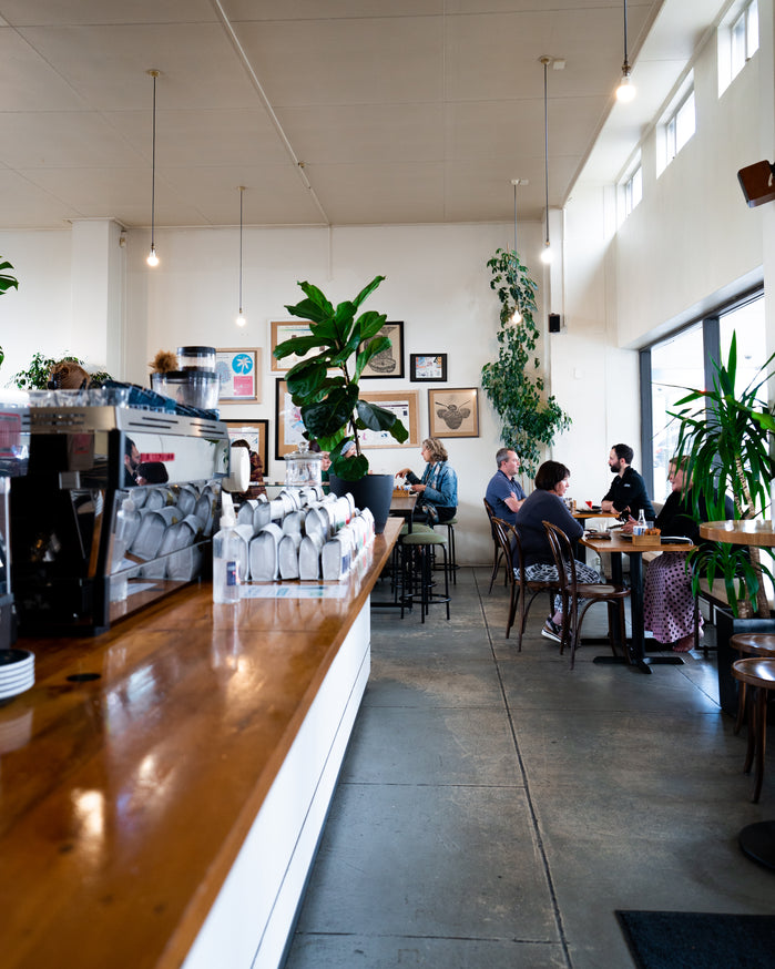 The Cafe Vanguard Specialty Coffee Company