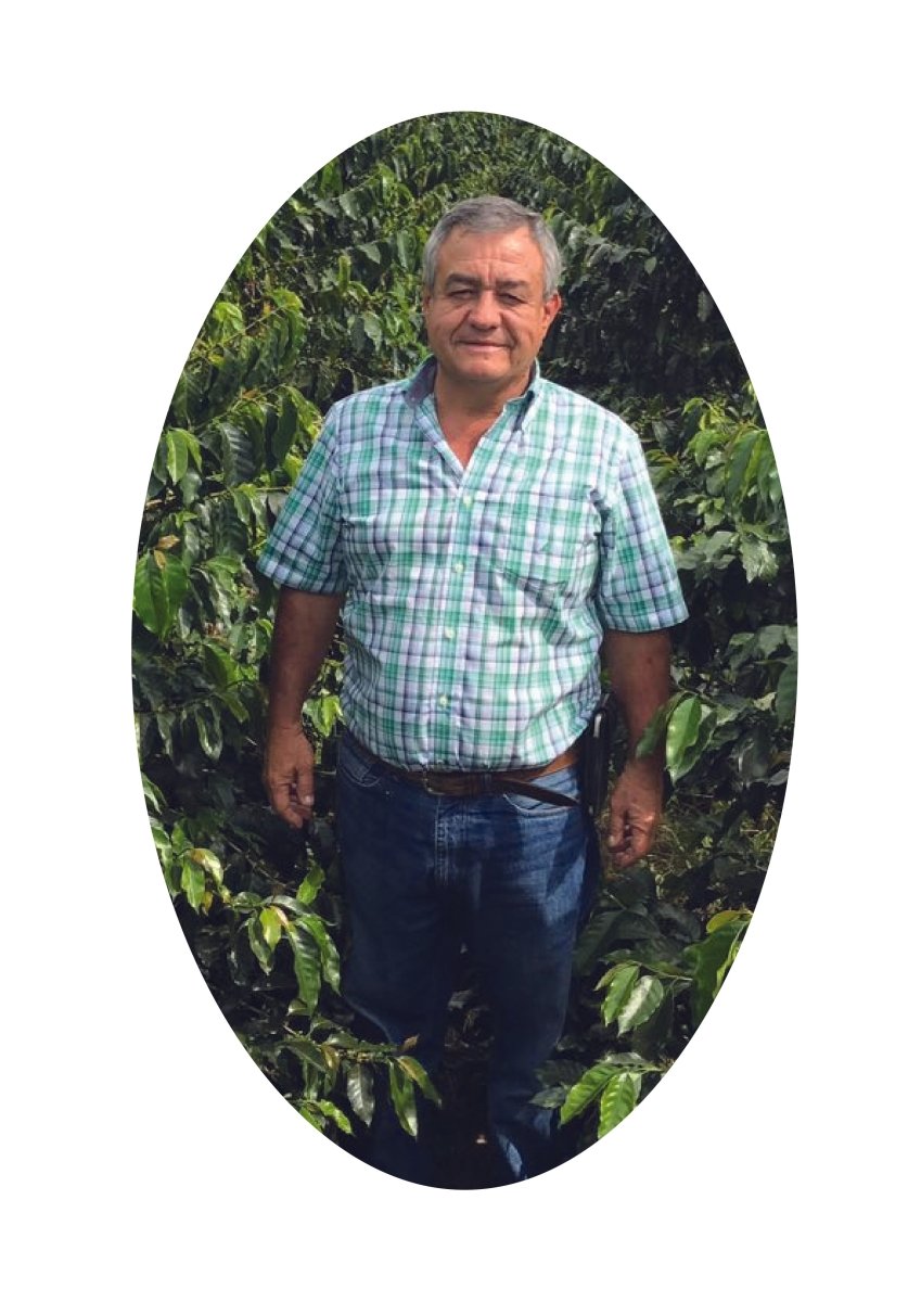 Colombia Jairo Arcila Natural Decaf- Filter Roast - Vanguard Specialty Coffee Company - Coffee