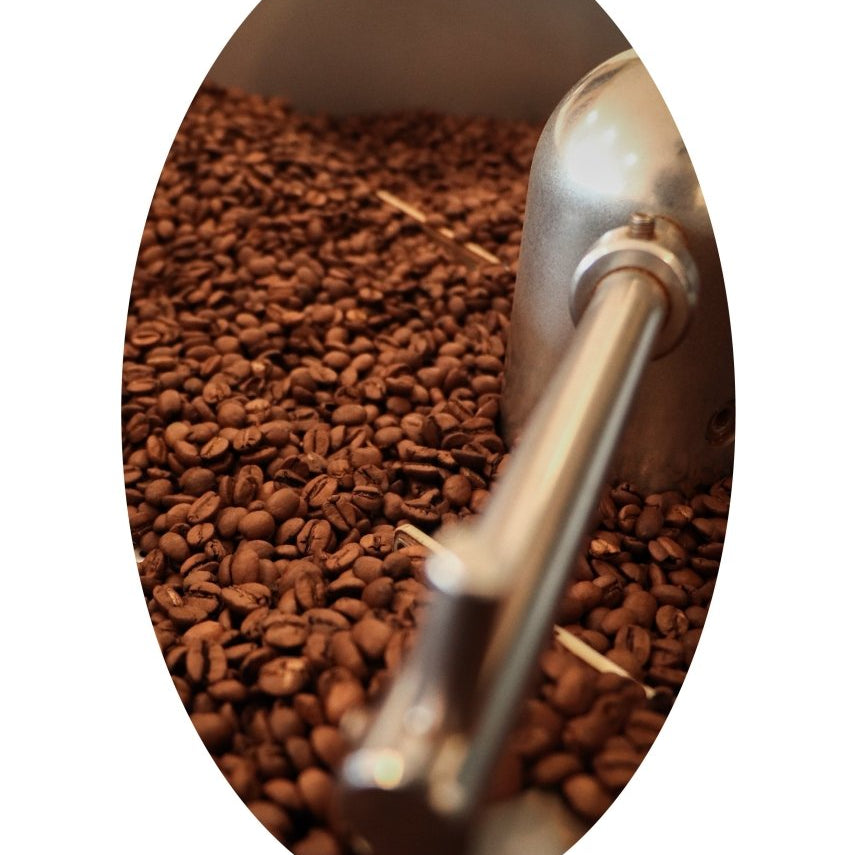 Coffee Vanguard Specialty Coffee Company