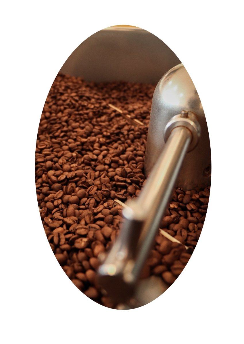 High Rd - Espresso Blend - Vanguard Specialty Coffee Company - Coffee