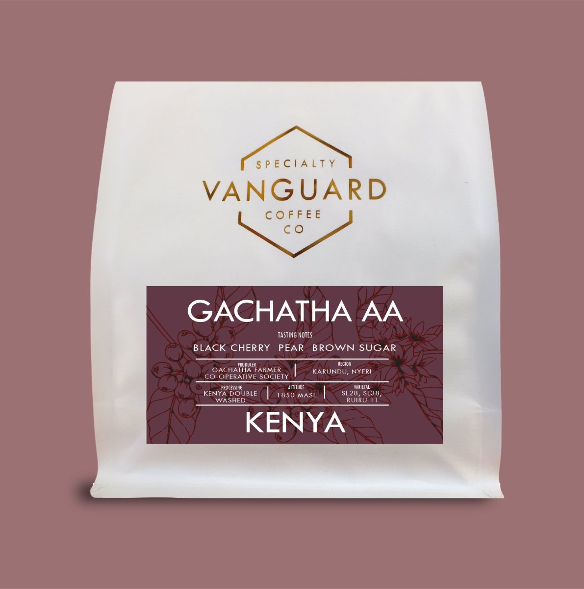 Kenya Gachatha AA- Filter Roast - Vanguard Specialty Coffee Company - Coffee