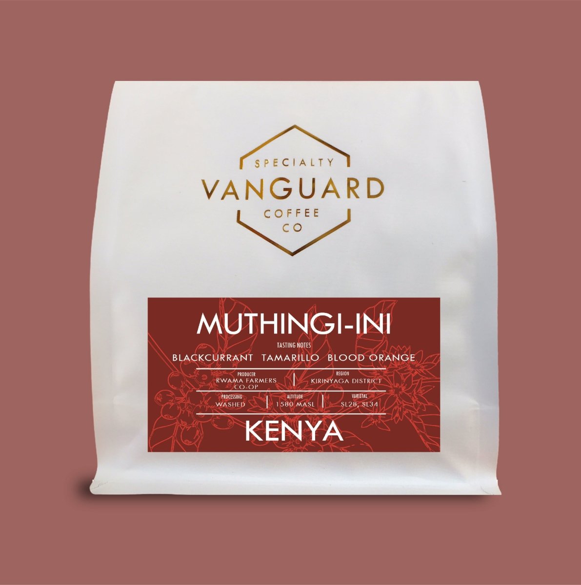Kenya Muthingiini AA- Filter Roast - Vanguard Specialty Coffee Company - Coffee